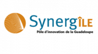 Logo Synergîle