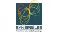 Logo-Synergîle